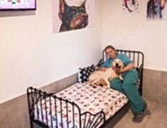 mayapet_17