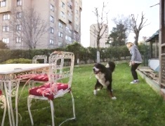 mayapet_27