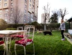 mayapet_28