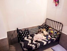 mayapet_8